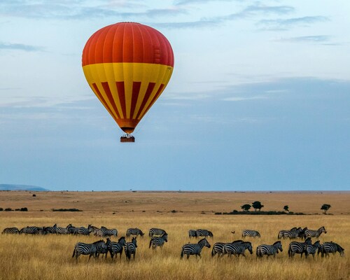 Why choosing an organized tour to East Africa is worth it